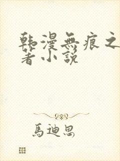 韩漫无痕之夜原著小说