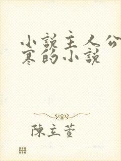 小说主人公叫夜寒的小说封面