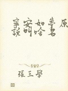 宁安如梦原著小说叫啥名