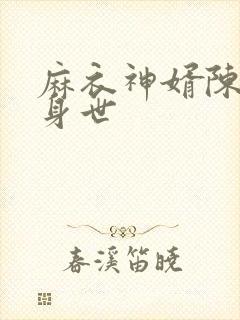 麻衣神婿陈黄皮身世封面