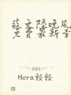 苏文陆晚风全文免费最新章节更新时间