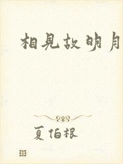 相见故明月