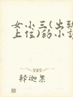 女小三(出轨,上位)的小说封面