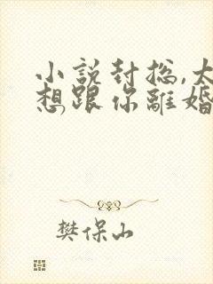 小说封总,太太想跟你离婚很久了在线阅读