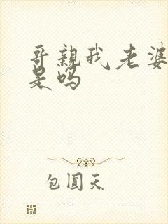 哥亲我老婆很爽是吗