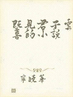 既见君子云胡不喜的小说