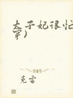 太子妃很忙(清穿)