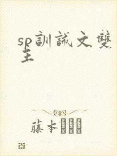 sp训诫文双男主