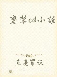 变装cd小说