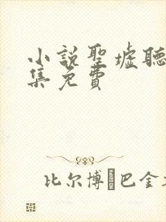小说圣墟听书全集免费