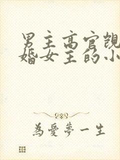 男主高官觊觎已婚女主的小说
