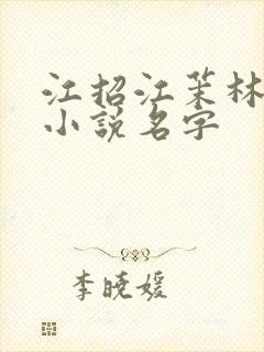 江招江茉林澄野小说名字