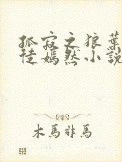 孤寂之狼叶凡司徒嫣然小说封面