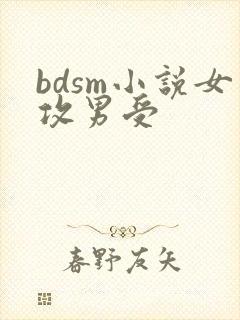 bdsm小说女攻男受