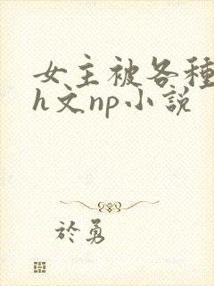 女主被各种调教h文np小说