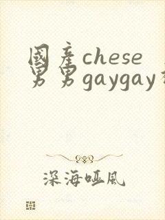 国产chese男男gaygay视频网站