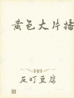 黄色大片播放.