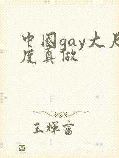 中国gay大尺度真做