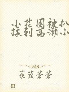 小花园被扒开被揉到高潮小说