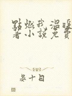 点燃我温暖你原著小说免费阅读