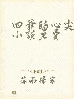 四爷的心尖宠妃小说免费封面
