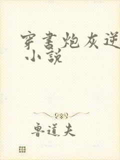 穿书炮灰逆袭记 小说