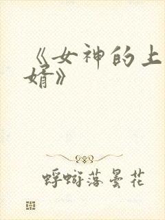 《女神的上门豪婿》
