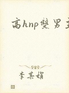 高hnp双男主封面