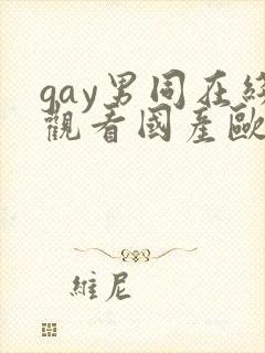 gay男同在线观看国产欧美