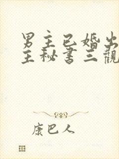 男主已婚出轨女主秘书三观不正小说封面