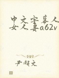 中文字幕人妻熟女人妻a62v