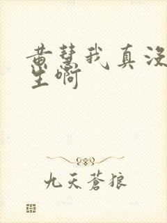 黄慧我真没想重生啊