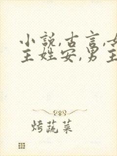 小说,古言,女主姓安,男主是个将军封面