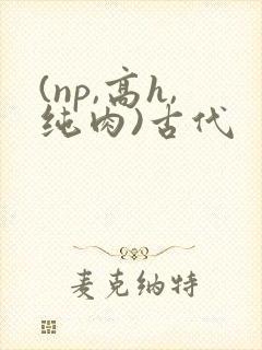 (np,高h,纯肉)古代