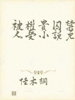 被权贵囚禁的美人受小说免费阅读下