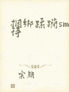 捆绑蹂躏sm虐待