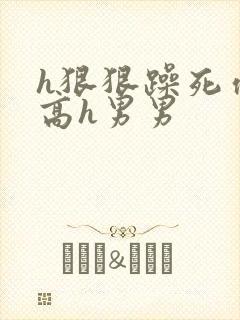 h狠狠躁死你h高h男男封面