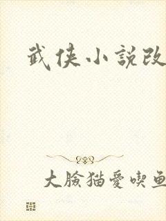武侠小说改编