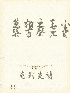 万相之王小说全集有声免费听