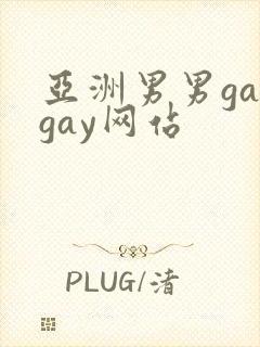亚洲男男gaygay网站