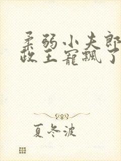 柔弱小夫郎被摄政王宠飘了小说免费阅读