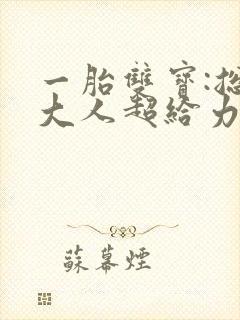 一胎双宝:总裁大人超给力免费阅读