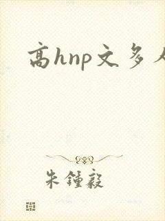 高hnp文多人