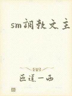 sm调教文主奴封面