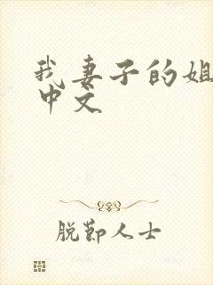 我妻子的姐姐3中文