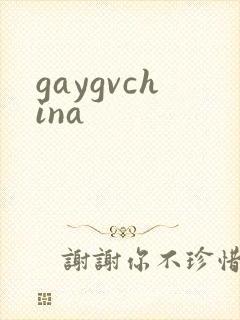 gaygvchina