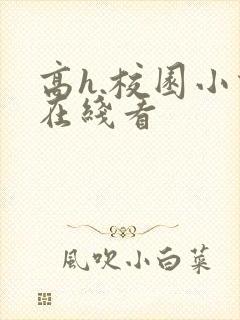 高h.校园小说在线看封面