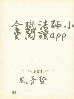 全职法师小说免费阅读app