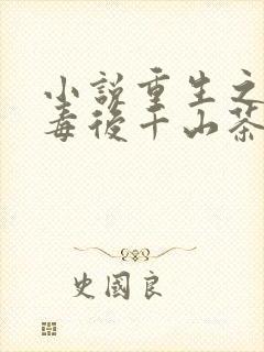 小说重生之将门毒后千山茶客正版封面