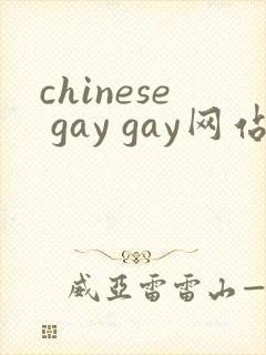 chinese gay gay网站